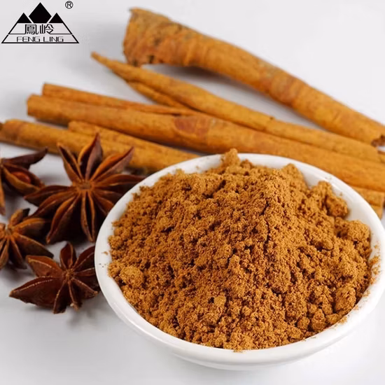 中華/ベトナム料理に使用される本格中国五香粉 400g