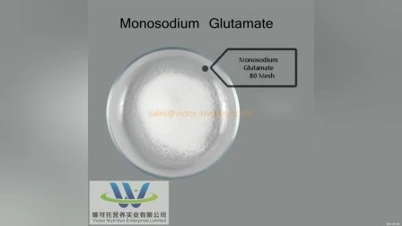 食品グレード MSG 99% (グルタミン酸ナトリウム) 塩味 MSG スパイス