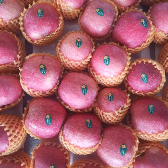 2022年新作新鮮な甘いナツメデーツフルーツ